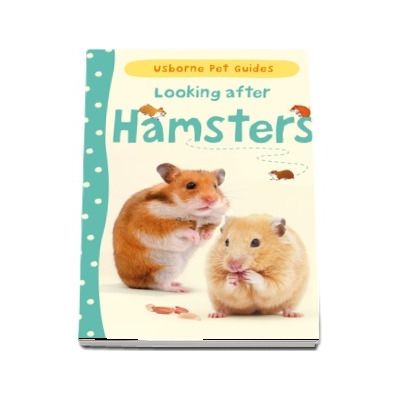 Looking after hamsters