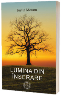 Lumina din inserare