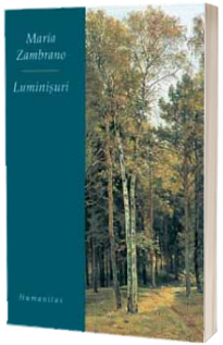 Luminisuri