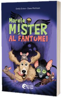 Marele mister al fantomei