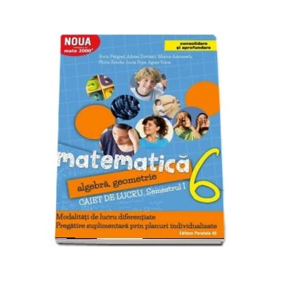 Matematica 2000. Algebra, geometrie. Caiet de lucru, pentru clasa a VI-a. Semestrul I (Consolidare si aprofundare)