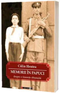 Memorii in papuci, despre o tinerete obisnuita