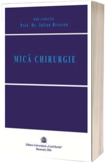Mica chirurgie