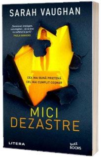Mici dezastre