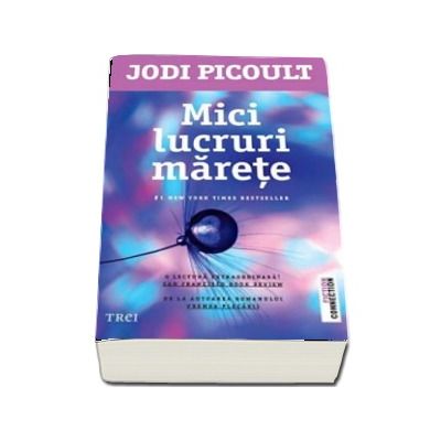 Mici lucruri marete - Jodi Picoult