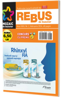 Mozaic de buzunar. Rebus de buzunar numarul 2 - Februarie 2026