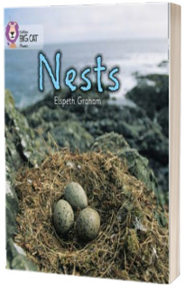 NESTS : Band 02a/Red a