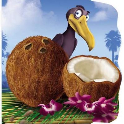 Nuca de cocos - Primii pasi
