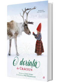 O dorinta de Craciun