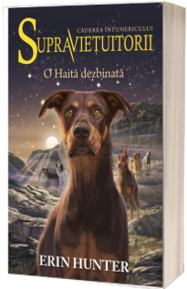 O Haita dezbinata