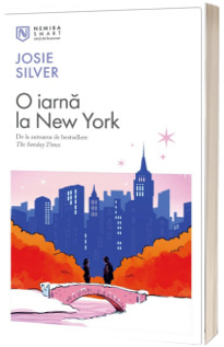 O iarna la New York