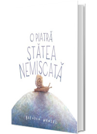 O piatra statea nemiscata