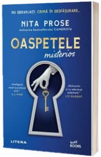 Oaspetele misterios