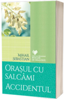Orasul cu salcami. Accidentul