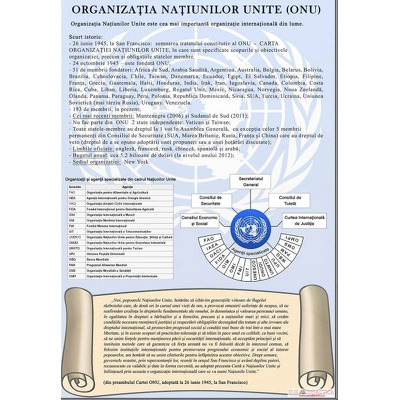 Organizatia Natiunilor Unite ( plansa 700x1000mm, cu sipci)