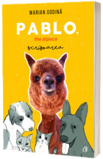 Pablo, the alpaca. Scrisoarea