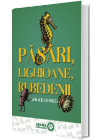 Pasari, lighioane, rubedenii Pasari, lighioane, rubedenii