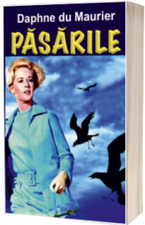 Pasarile