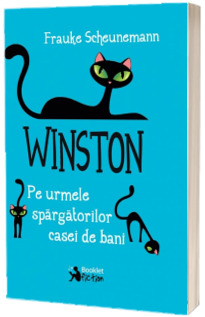 Pe urmele spargatorilor casei de bani