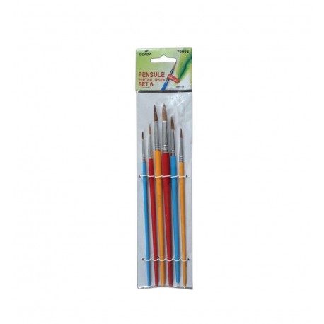 Pensula set 6