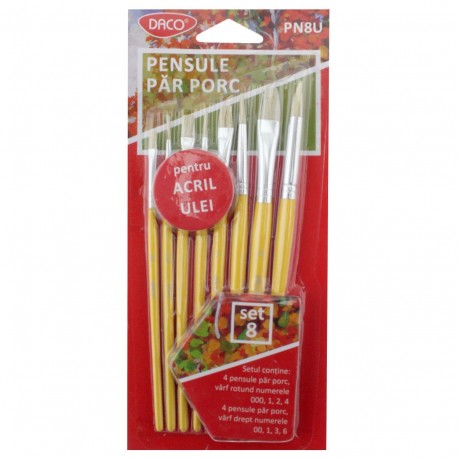 Pensula set 8 par porc Daco PN8U