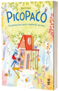 Picopaco