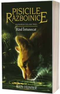 Pisicile Razboinice - Puterea celor trei - Raul intunecat. Cartea a XIV-a