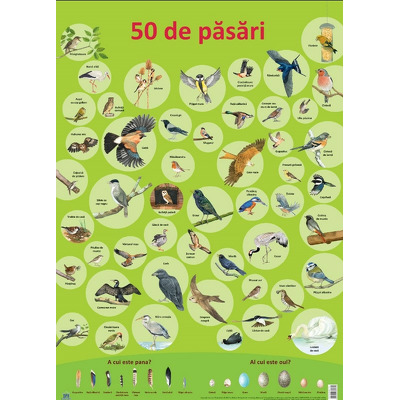 Plansa - 50 de pasari