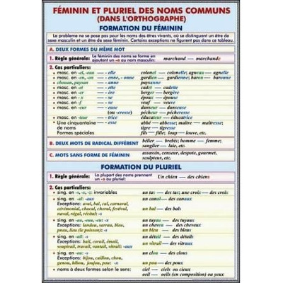 Plansa Femenin et pluriel des noms communs ,dans ortographe, formation du femenin formation du pl