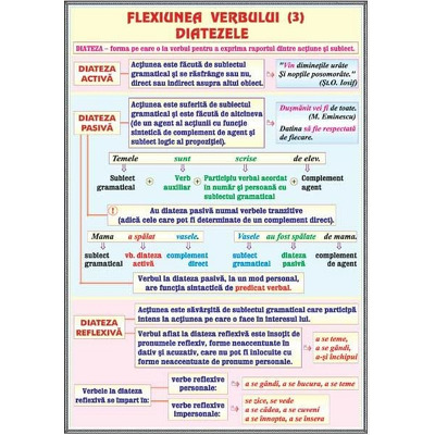 Plansa Verbul. Flexiunea diatezele, mijloace interne de imbogatire a vocabularului