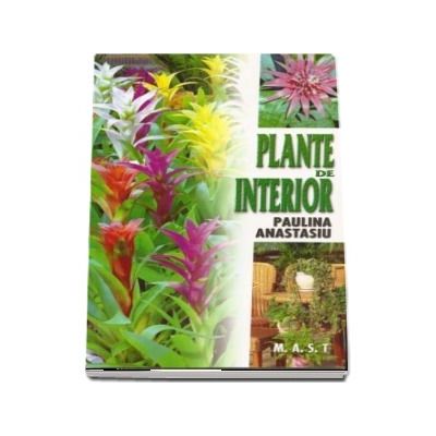 Plante de interior