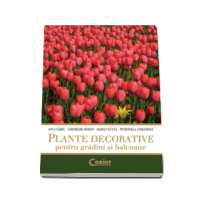 Plante decorative pentru gradini si balcoane