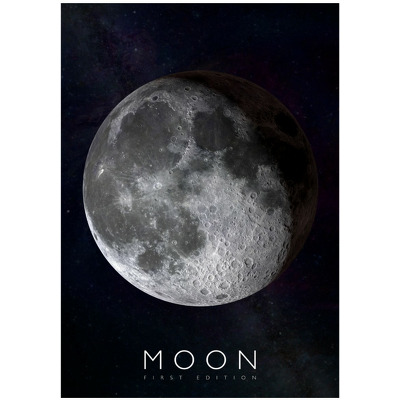 Poster AR (Realitate Augmentata), Curiscope Multiverse, Luna, format A1