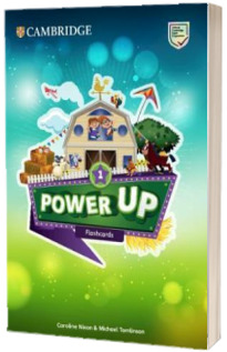 Power Up Level 1. Flashcards (Pack of 179)
