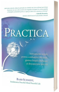 Practica - Instrumente simple pentru combaterea stresului, gasirea linistii interioare si descoperirea fericirii (Barb Schmidt)