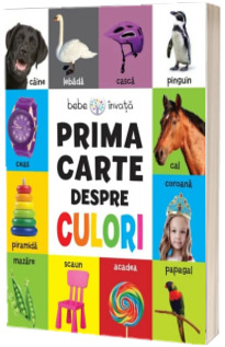 Prima carte despre culori. Bebe invata