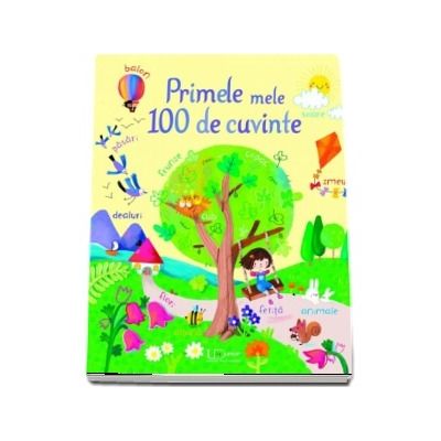 Primele mele 100 de cuvinte (Usborne books)