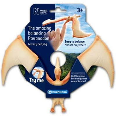 Pteranodon in echilibru