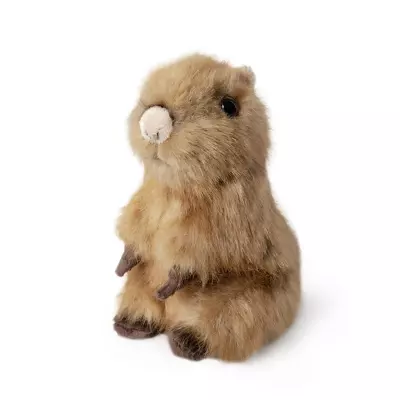Pui de Capybara in sezut