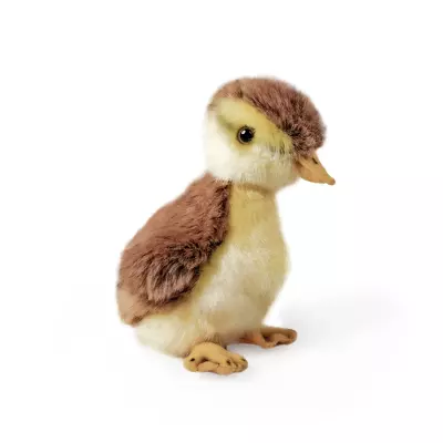 Pui de Rata Salbatica