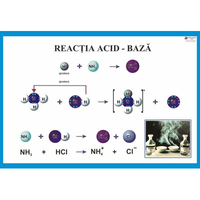 Reactia acid-baza