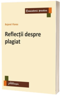 Reflectii despre plagiat