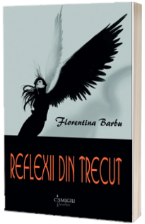 Reflexii din trecut - Florentina Barbu
