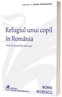 Refugiul unui copil in Romania