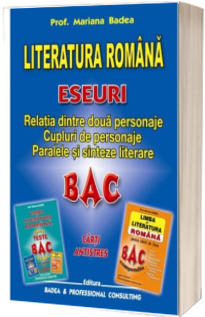 Relatia dintre doua personaje. Cupluri de personaje. Paralele si sinteze literare