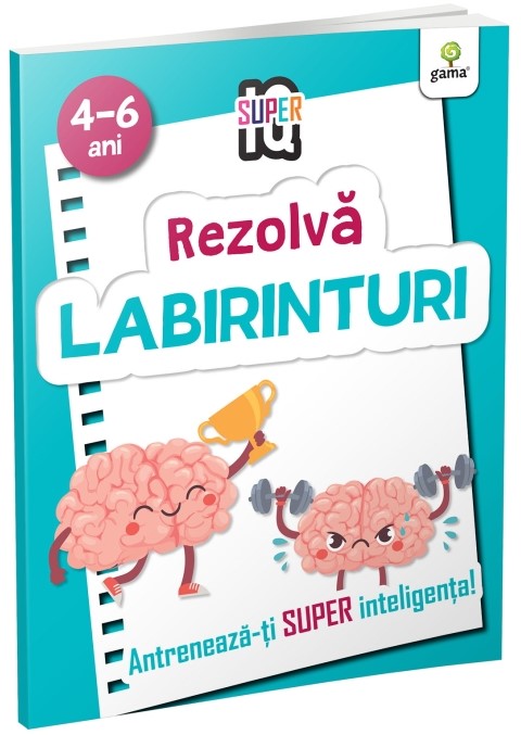 Rezolva labirinturi Rezolva labirinturi