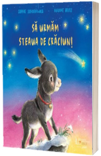 Sa urmam steaua de Craciun