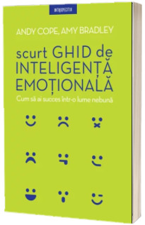 Scurt ghid de inteligenta emotionala