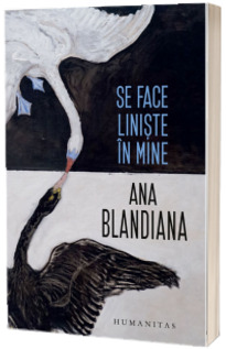 Se face liniste in mine Se face liniste in mine