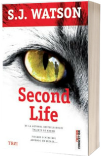Second Life (Un senzational thriller psihologic)